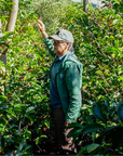 Panama - Finca Alto Bambito Geisha Washed