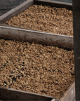 Panama - Finca Alto Bambito Geisha Washed