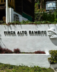 Panama - Finca Alto Bambito Geisha Washed