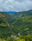 Colombia - Cota Coffee Finca Kodu Coconut CF