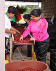 Colombia - Finca El Porvenir Geisha Honey DRD