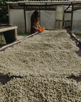 Finca Soledad Curated Set