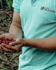 Colombia - Inmaculada Fellows Farms Lot 662
