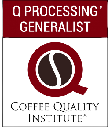 CQI - Q Processing Level 1: The Generalist