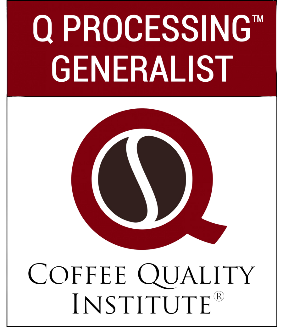 CQI - Q Processing Level 1: The Generalist