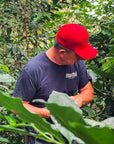 Panama - Project Hachi, HATSUKO Rocky Mountain