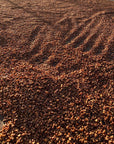 Colombia - Finca El Porvenir Geisha Honey DRD
