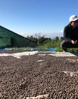 Panama - Mil Cumbres OMO GN Lot 1201