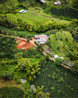Colombia - Cota Coffee Finca Anaya - Watermelon CF