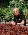 Panama - El Burro Geisha 0402 Washed Lot 16