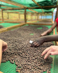 Best of Rwanda No. 1 - K-Organics - Auction Lot RABC 15