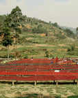 Burundi - Kivuvuma Anaerobic