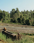 Kenya - Kainamui AA