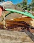 Kenya - Kiyaka AA