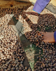 Kenya - Kiyaka AA