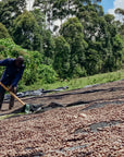 Kenya - Kiyaka AA