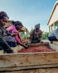 Kenya - Kiyaka AA