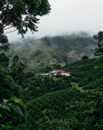 Colombia - Mandela Vieux - Cafe Granja La Esperanza