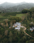 Colombia - Aroma Nativo Bourbon Aji  Hydro Honey Lot 396