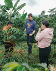 Colombia - Cota Coffee Finca Rio Negro Tropical Popsicle