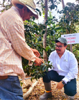 Costa Rica - Hacienda Copey Itadaki Geisha Washed Lot 177