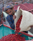 Yemen - East Haraz Wadi Al Sallol