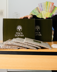 Panama - Auction Lot Finca Sophia Estacion SFA 10 Geisha Natural