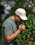 Colombia - Clearpath Coffee Finca Capilla De Rosario Lychee CF