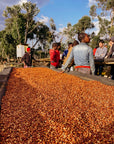 Ethiopia - Alo Village Anaerobic 120 Hours