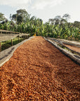 Ethiopia - Gute Village