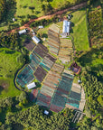 Ethiopia - Alo Chilaka Station Natural Anaerobic Cool Dry Archers lot
