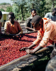 Ethiopia - Alo Chilaka Station Natural Anaerobic Cool Dry Archers lot