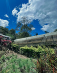 Colombia - Finca El Topacio Tabi