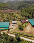 Colombia - Luna, Finca El Paraiso