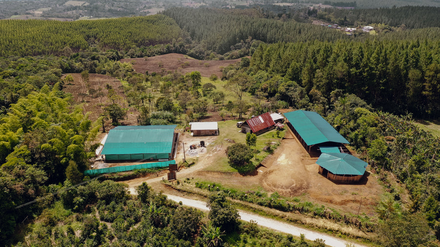 Colombia - Luna, Finca El Paraiso