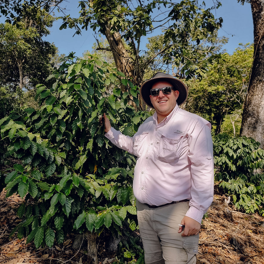 Guatemala - Finca El Chorro