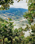 Costa Rica - Don Kazu, Hacienda Copey