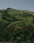India - Pearl Mountain Lot RM 59