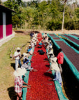 Ethiopia - Elto Coffee Kokose Natural