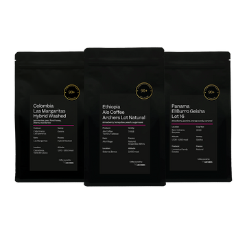 Competition Bundle - B