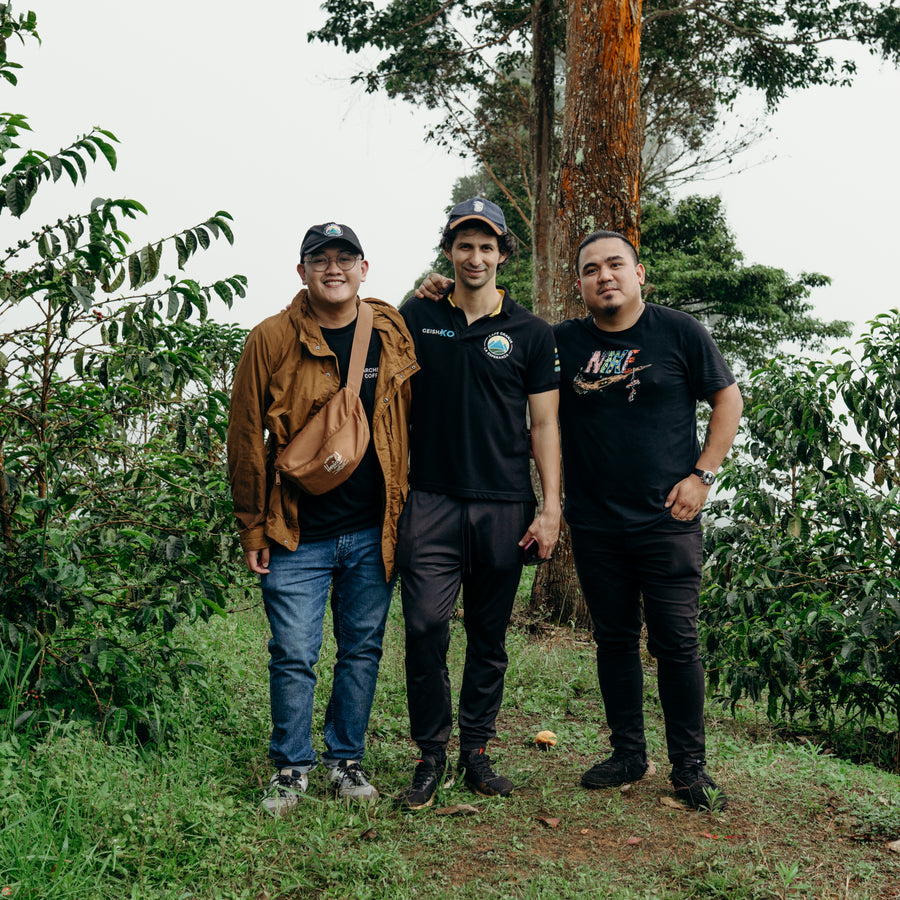 Colombia - Cerro Azul, Geisha Natural