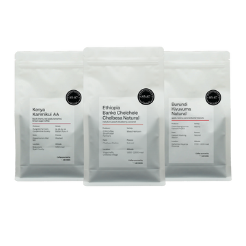 Espresso Bundle - C