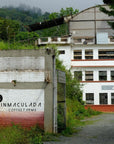 Colombia - Inmaculada Coffee Farms Eugenioides