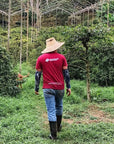 Colombia - Inmaculada Coffee Farms Eugenioides