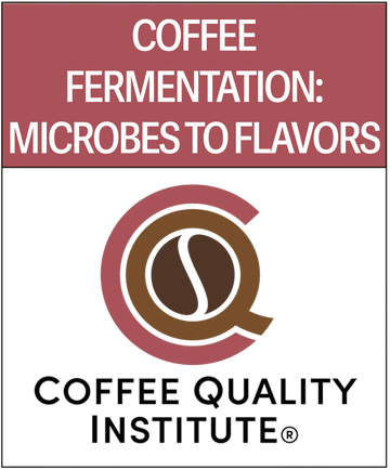 CQI - Coffee Fermentation: From Microbes to Flavors