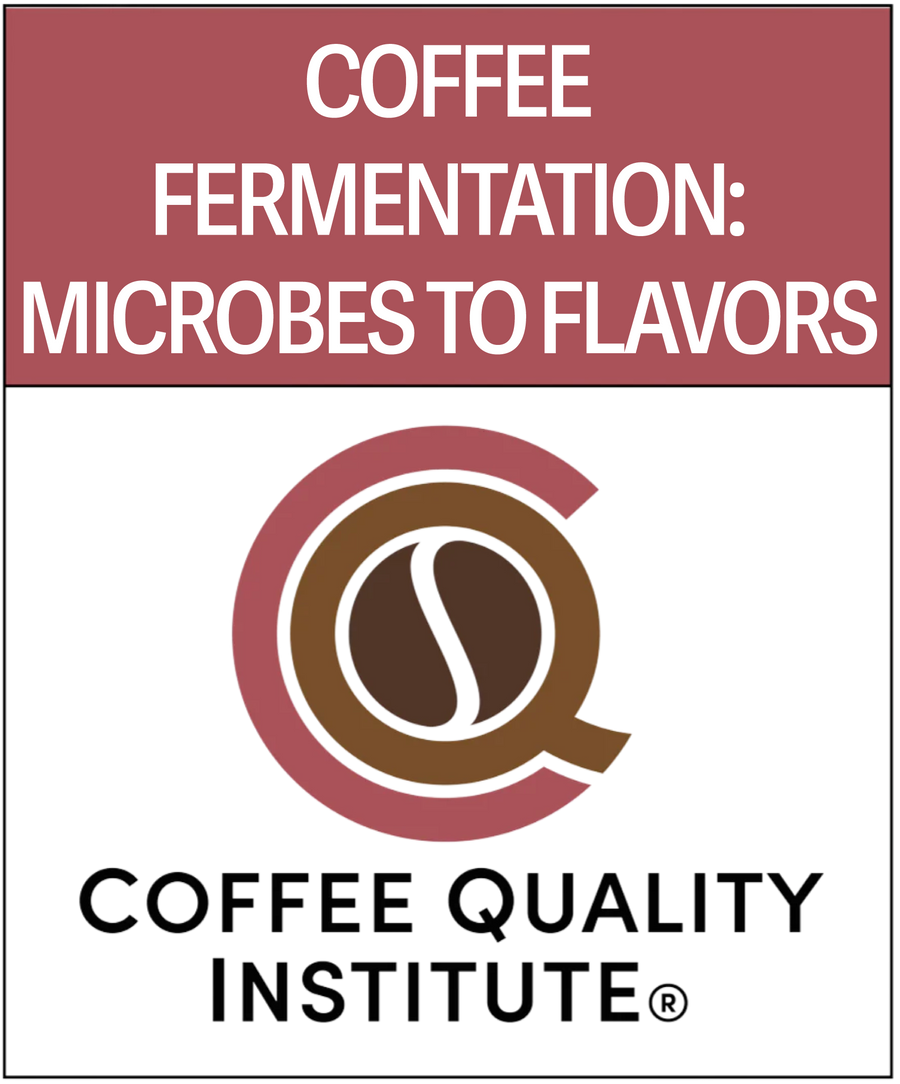 CQI - Coffee Fermentation: From Microbes to Flavors