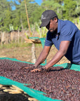 Ethiopia - Oboleyan Coffee Hambela Dimtu Haro Highborn Project - Natural Anaerobic