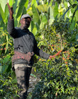Ethiopian - Oboleyan Coffee Hambela Benti Nenka - Classic Natural Lot 2