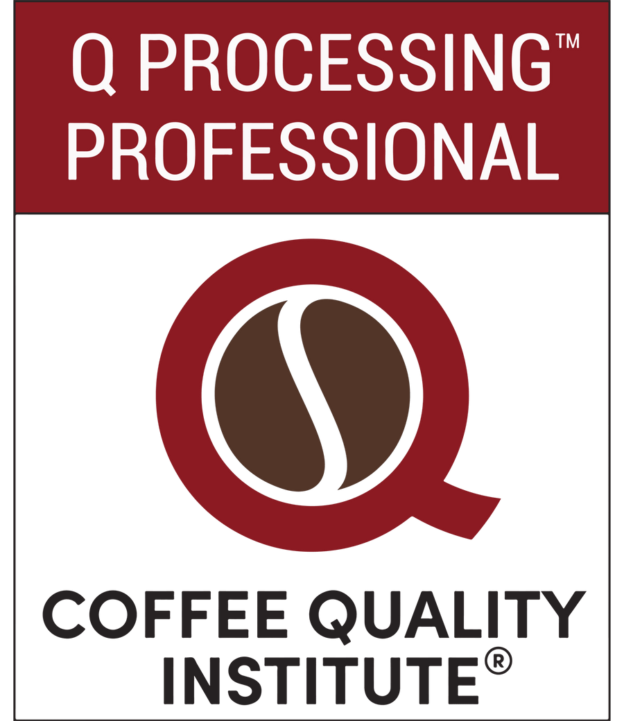 CQI - Q Processing Level 2: Professional