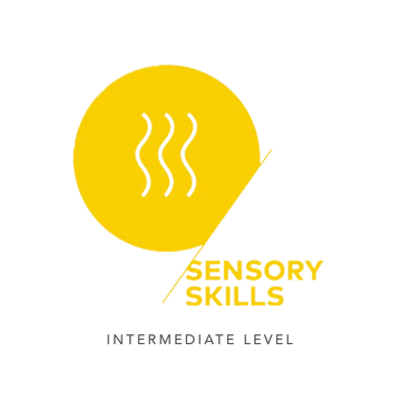 SCA Sensory Skills Intermediate